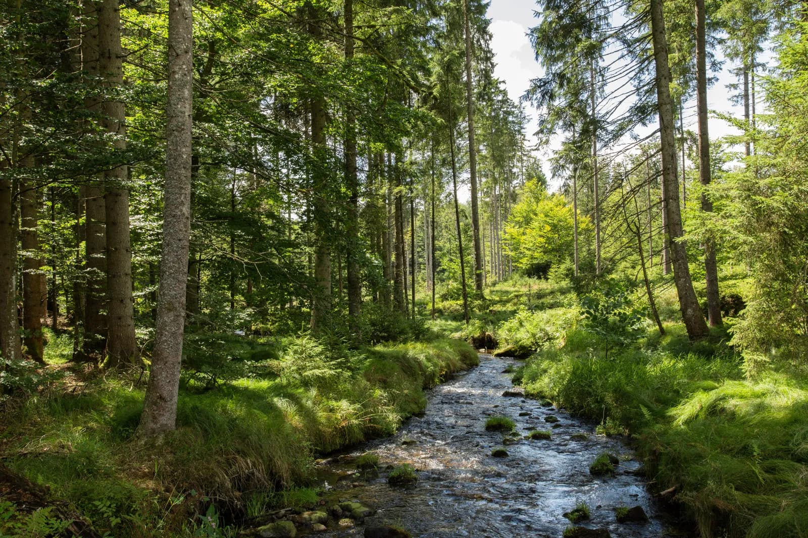 Pommerbachtal 1