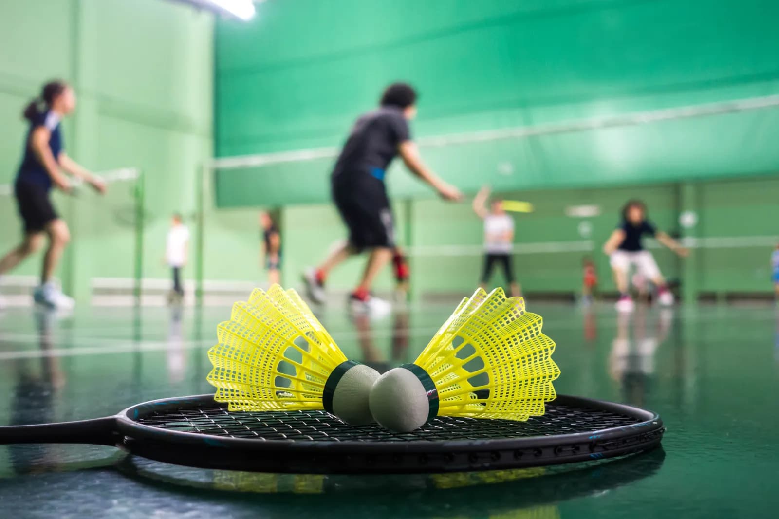 Phoenix Badminton-Center  1