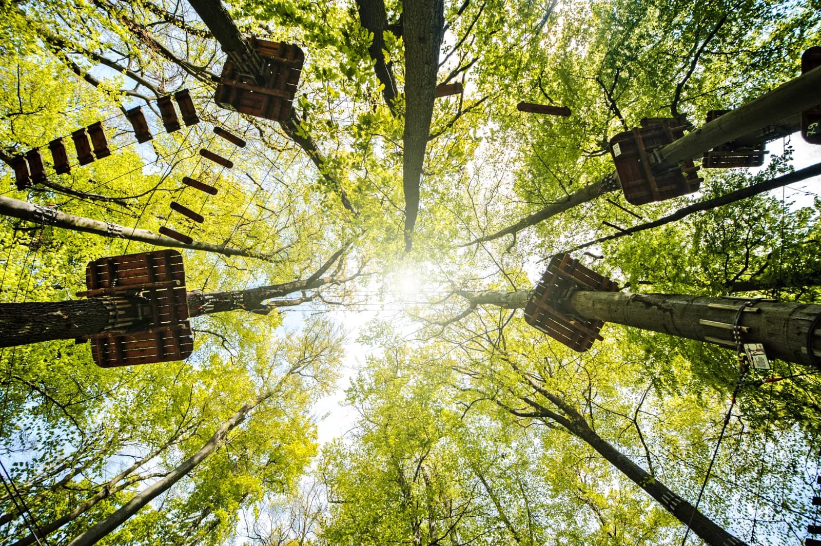 Schwindelfrei – Der Kletterwald 1