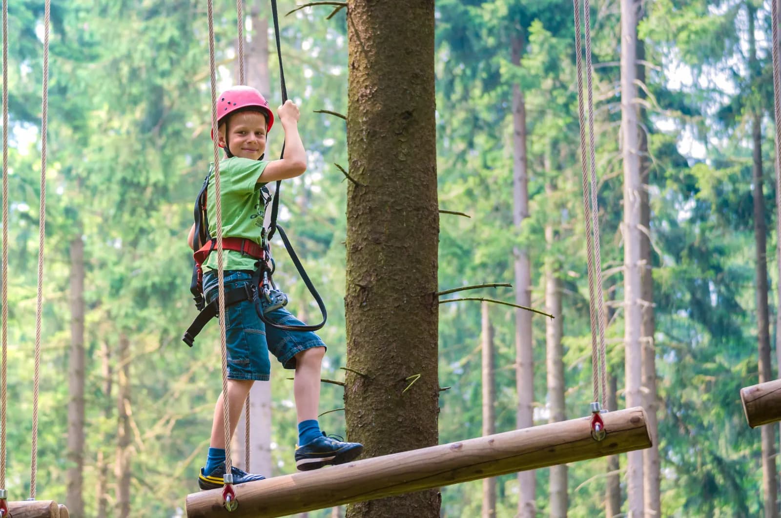 Mosel Adventure Forest 1