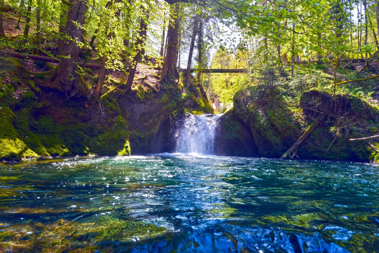 Eistobel – Westallgäuer Wasserwege
