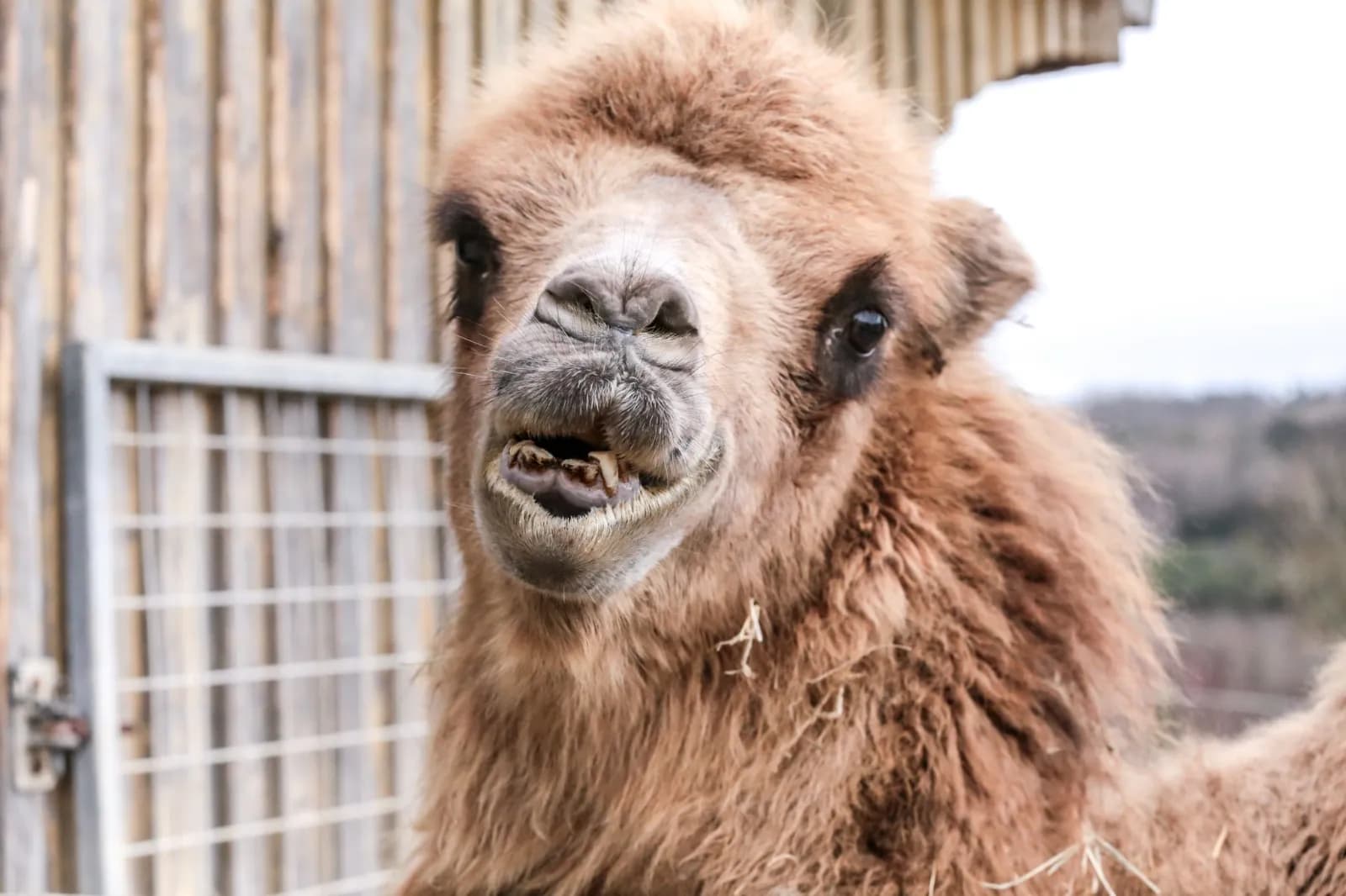 Freizeitpark Rotfelden 6