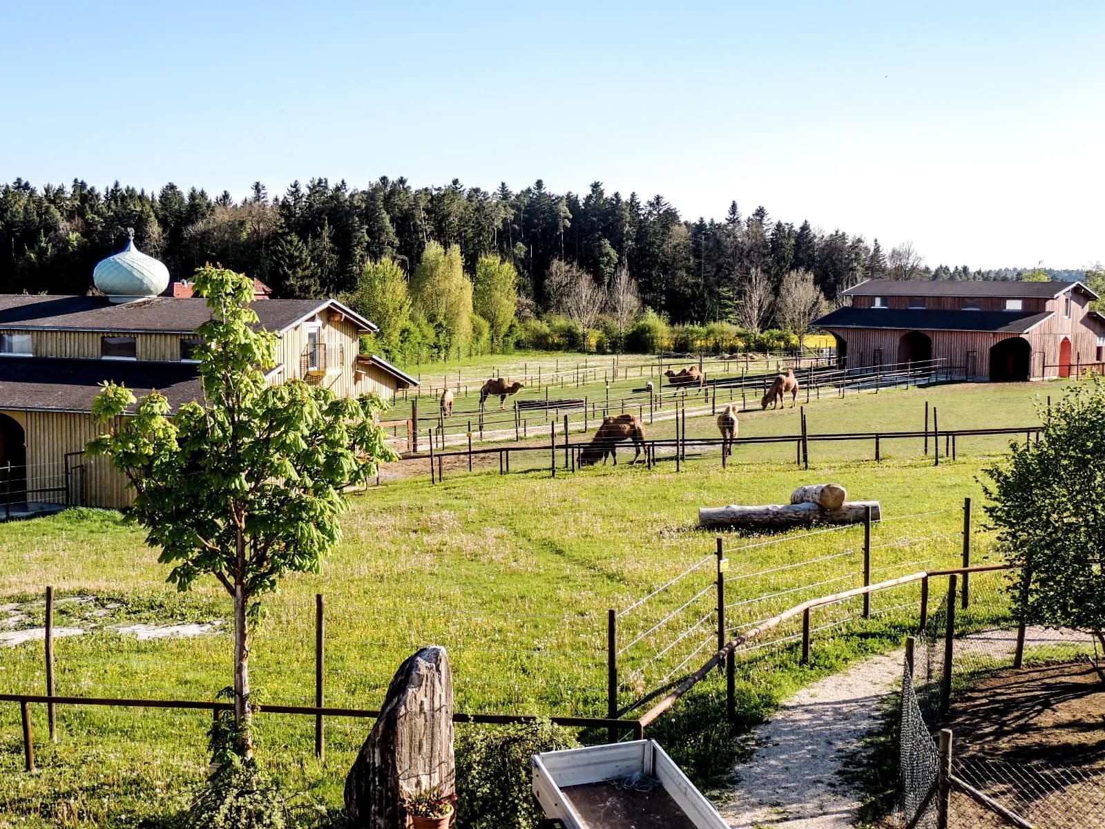 Freizeitpark Rotfelden 2