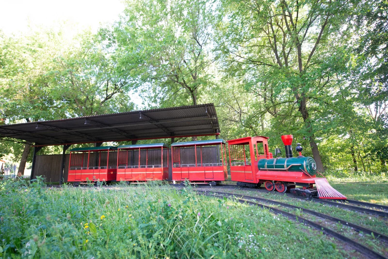 Wildpark Schwarzach 3