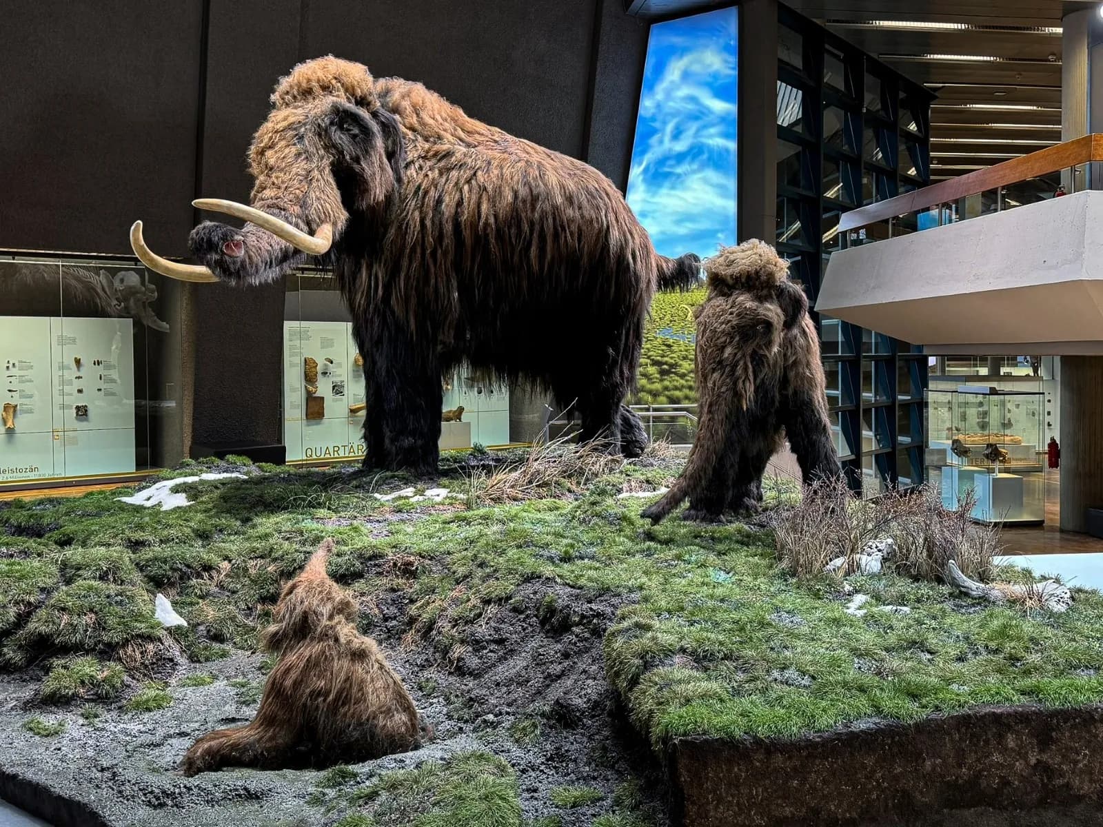 Naturkundemuseum Stuttgart – Museum am Löwentor 1