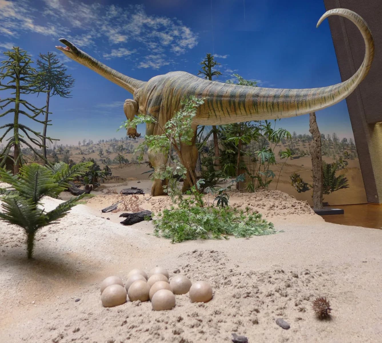 Naturkundemuseum Stuttgart – Museum am Löwentor 2