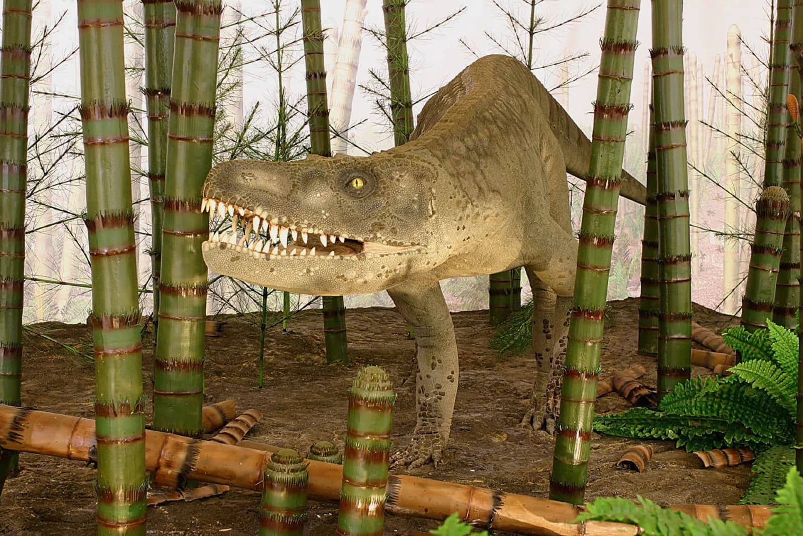 Naturkundemuseum Stuttgart – Museum am Löwentor 7