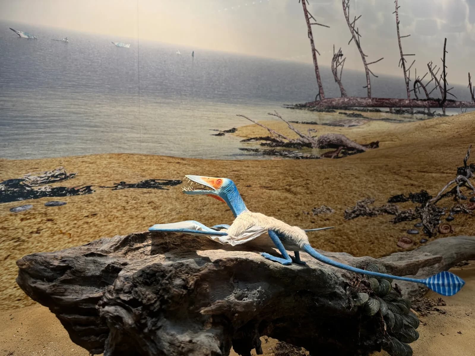 Naturkundemuseum Stuttgart – Museum am Löwentor 4