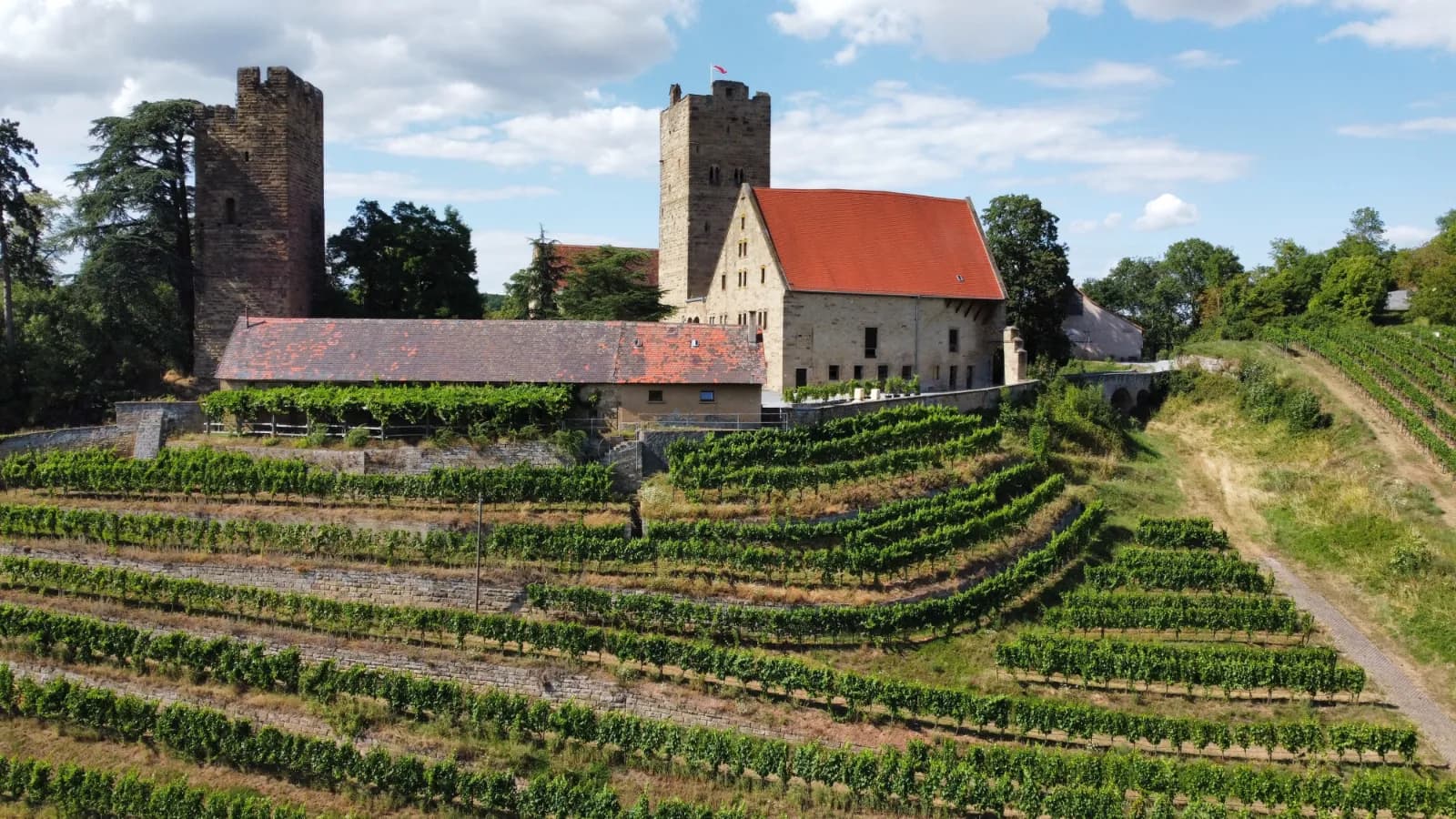 Burg Neipperg 1