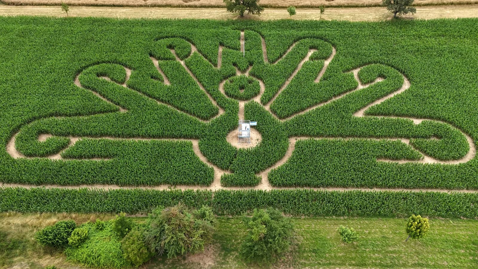 Maislabyrinth Eutingen 1