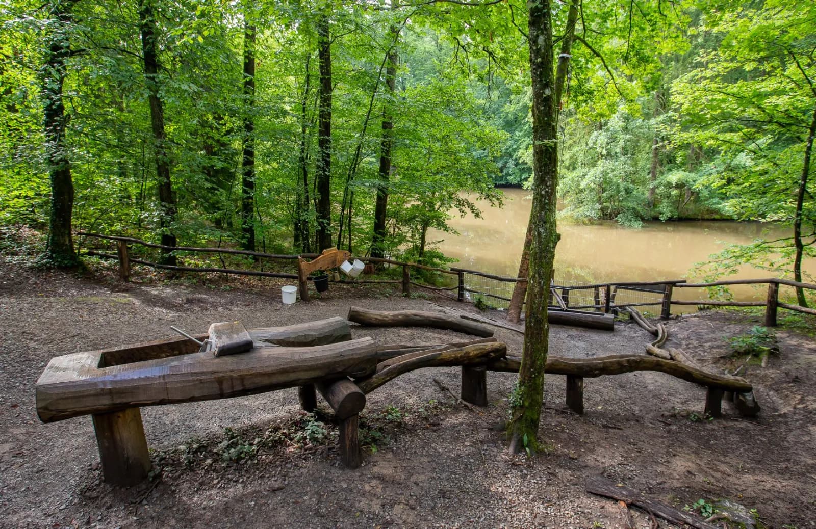 Hardy-Pfad – der Walderlebnispfad 1