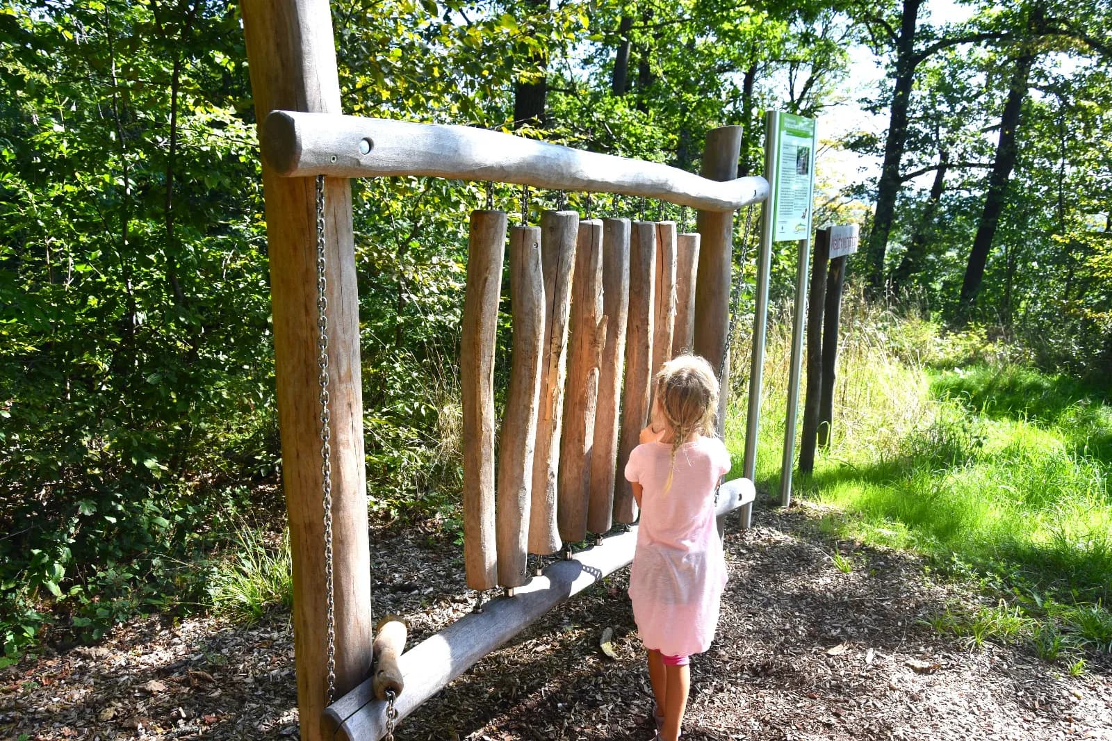Erlebnisweg Hilsbacher Eichelberg 1