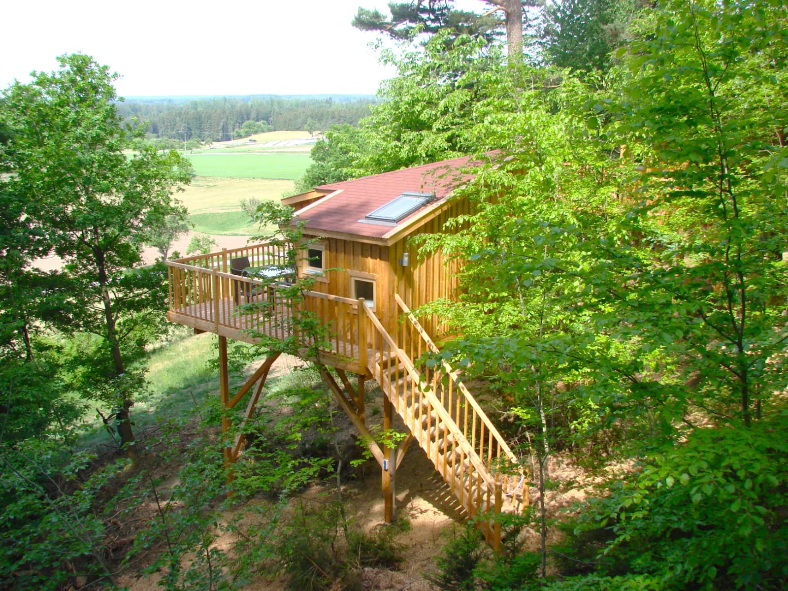 Baumpalast Rosenberg 1