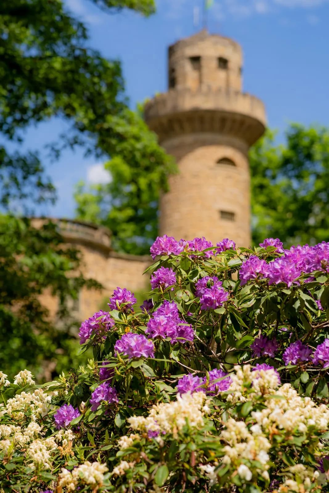 Blühendes Barock Gartenschau Ludwigsburg 4