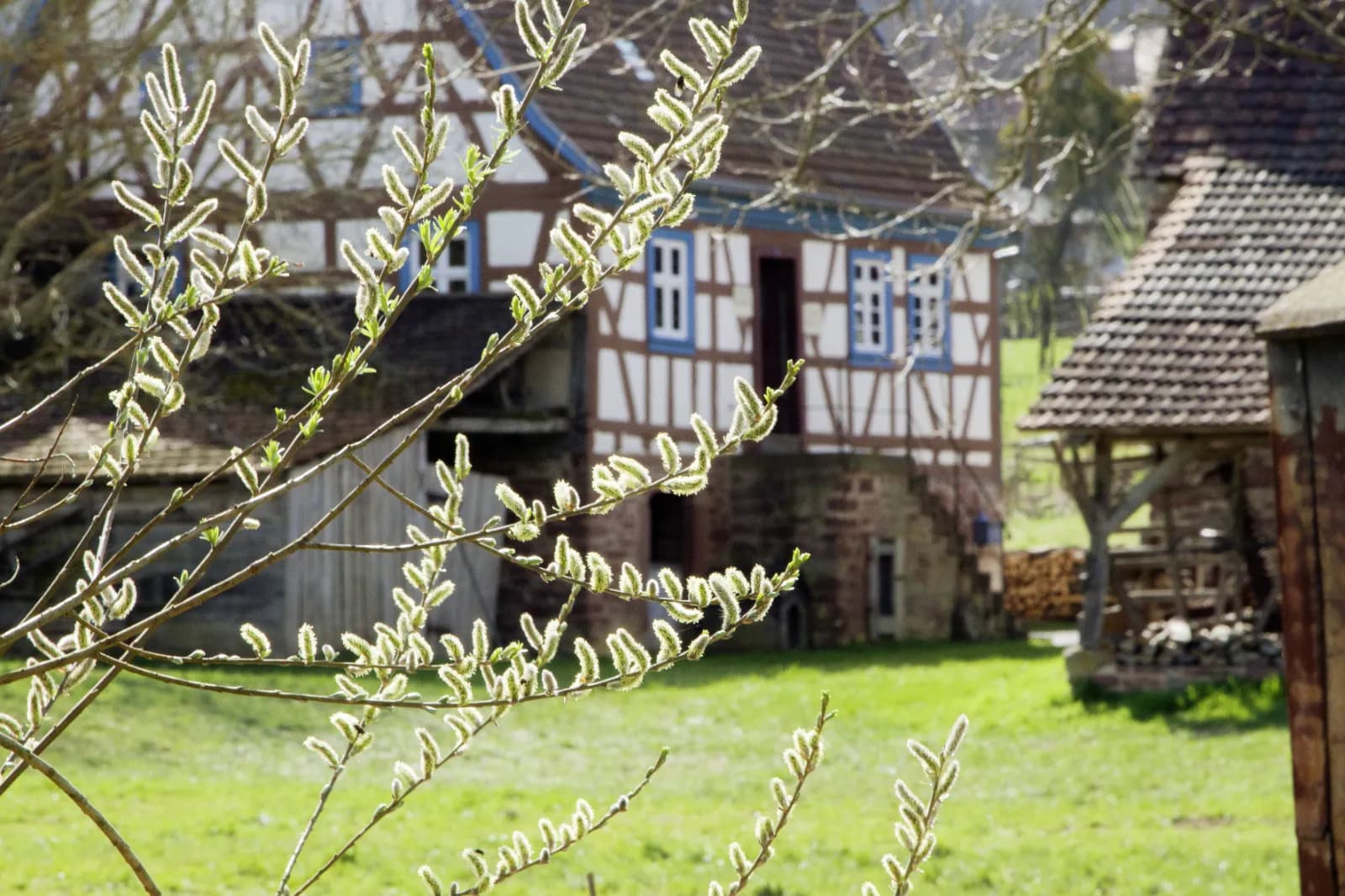 Odenwälder Freilandmuseum 5