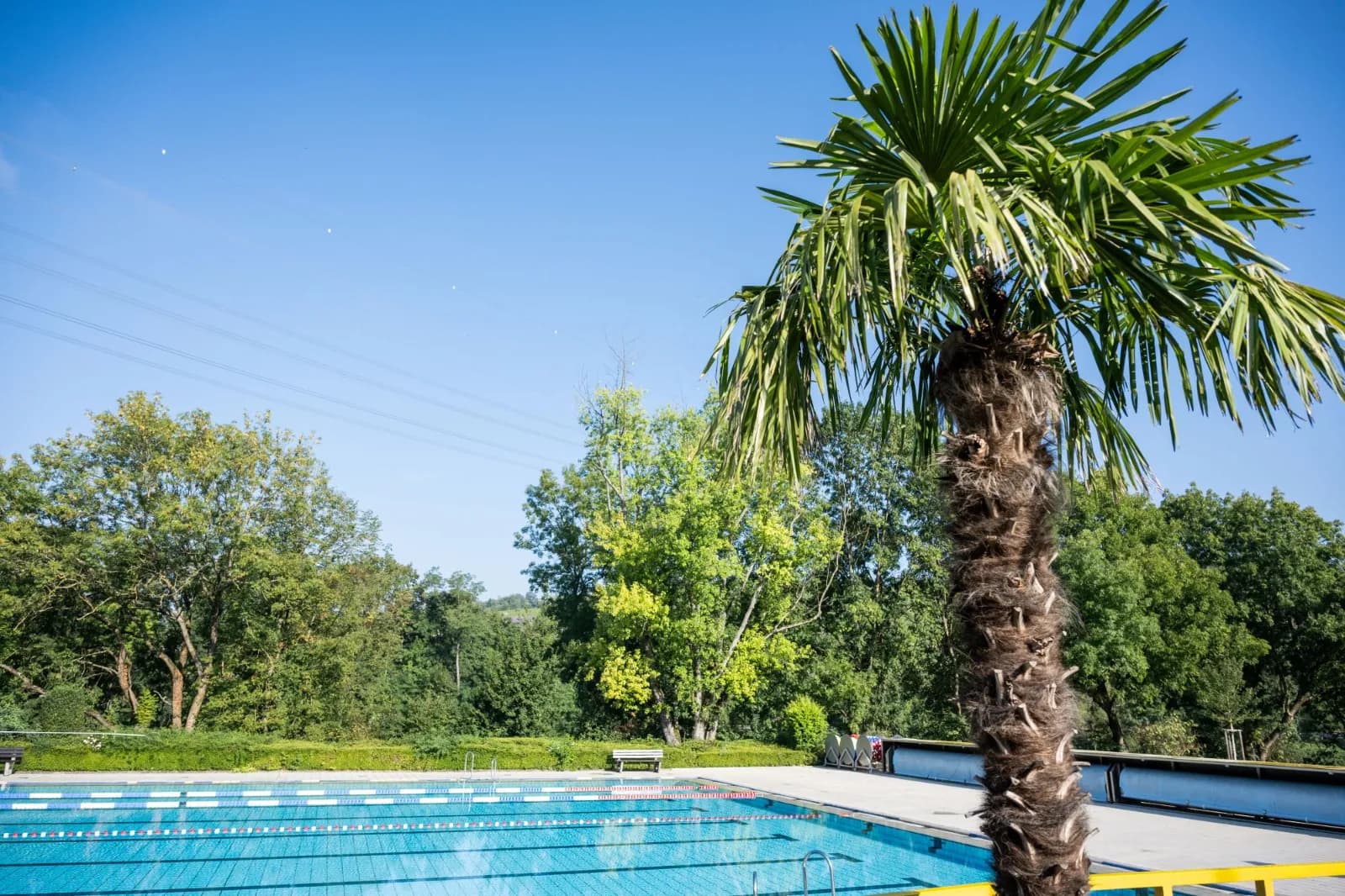 Freibad Hoheneck 2