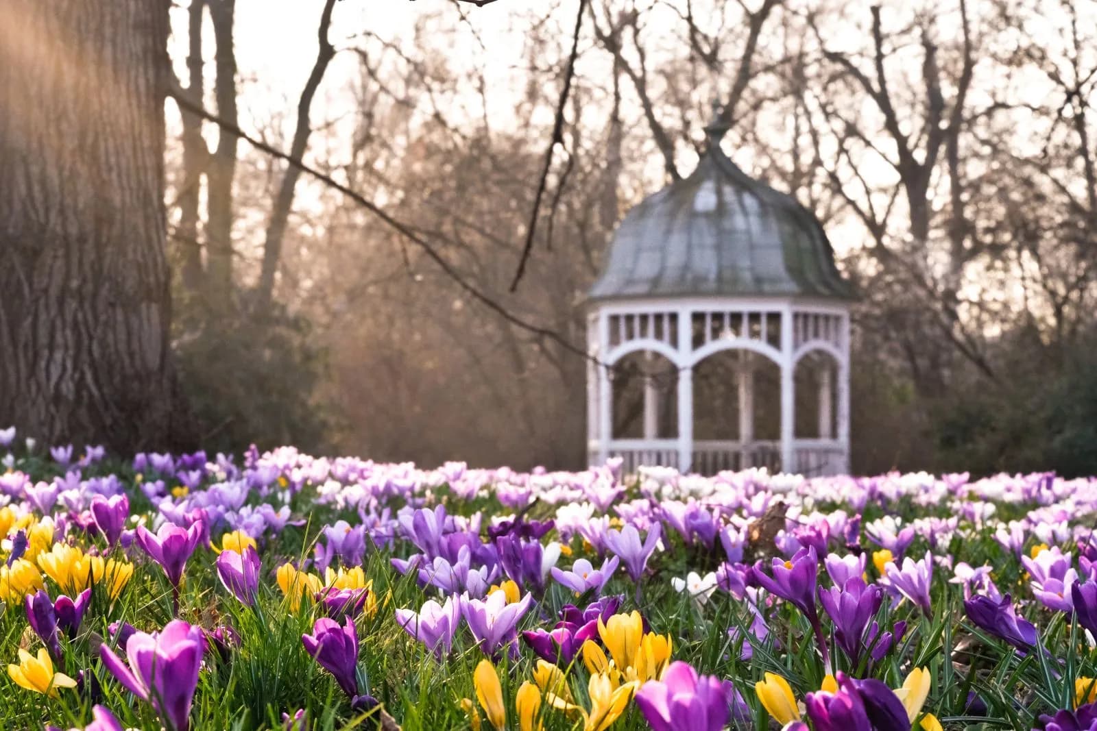 Clara-Zetkin-Park