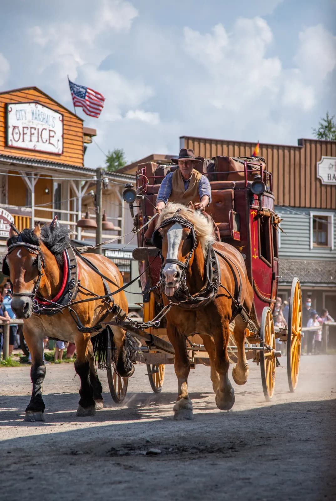 Pullman City Harz 3