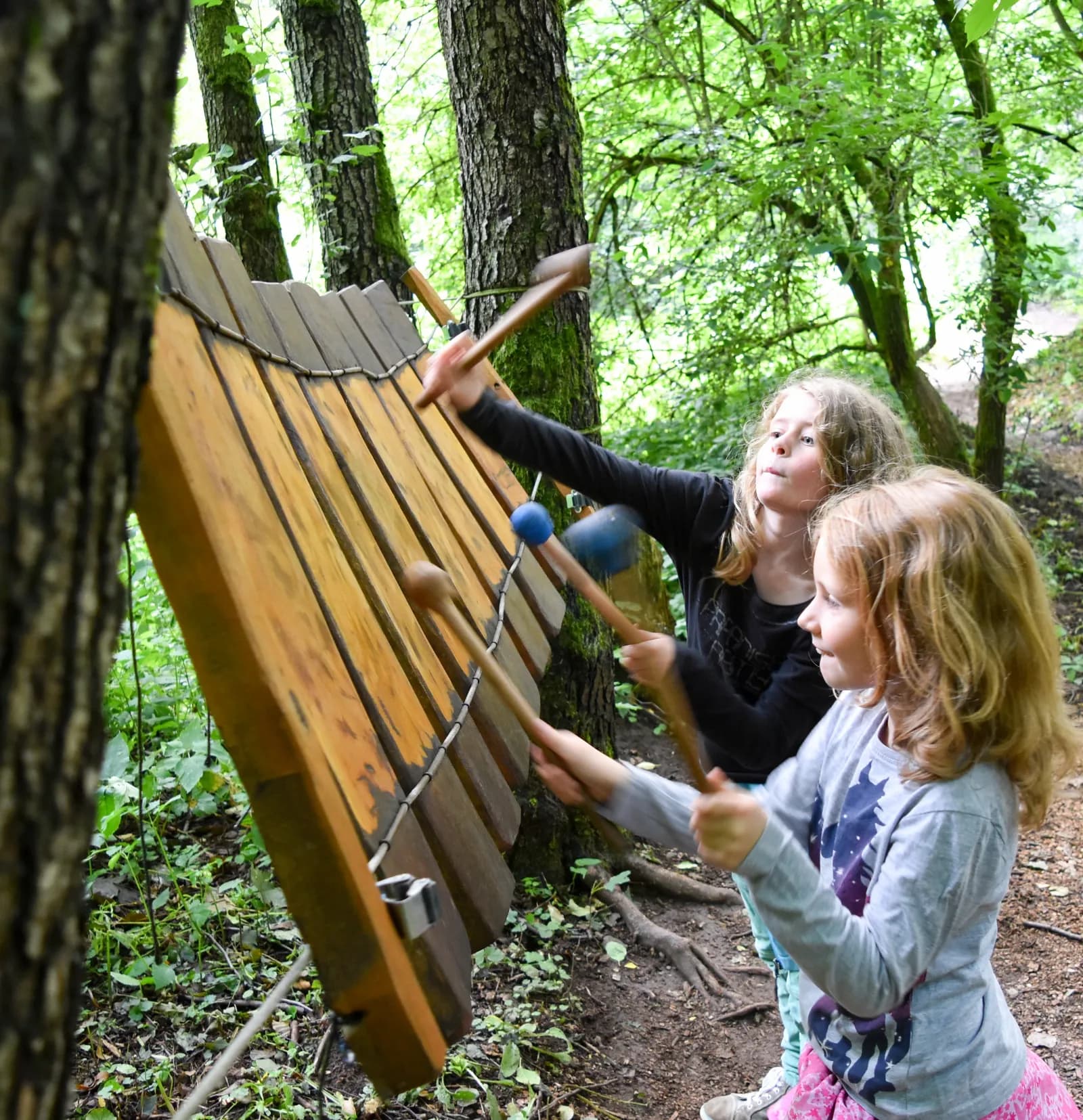 Klangpfad im Naturerlebnis Trusepark 1