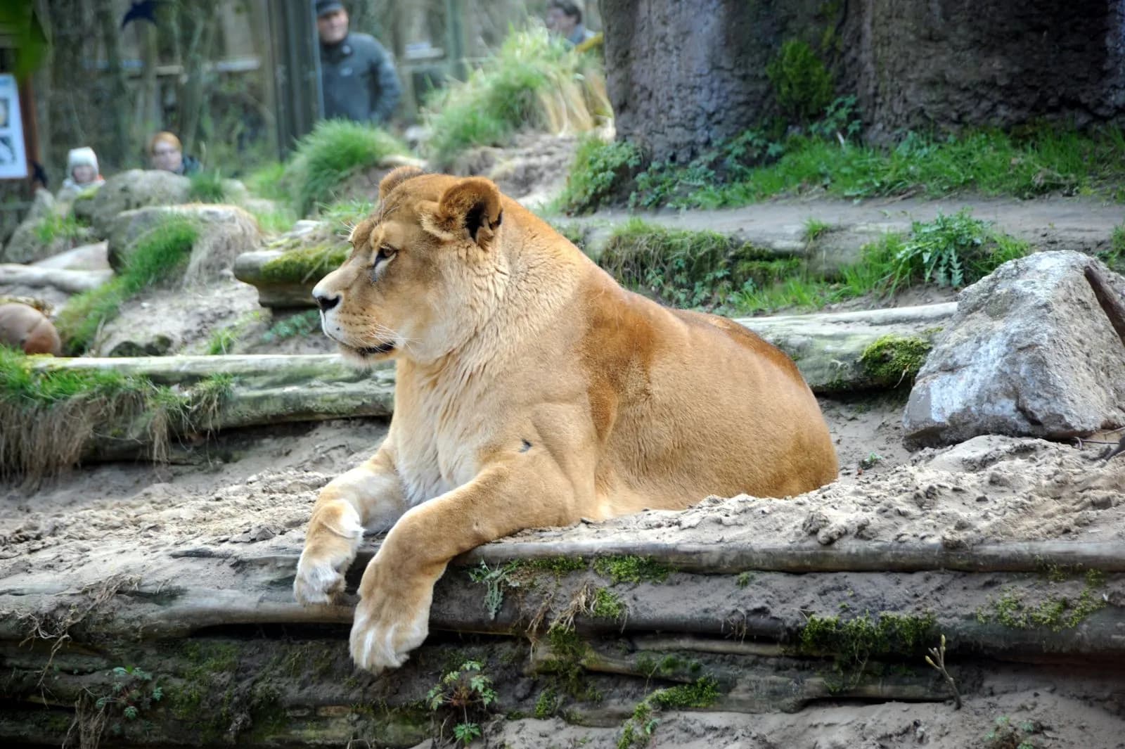 Tierpark Ueckermünde