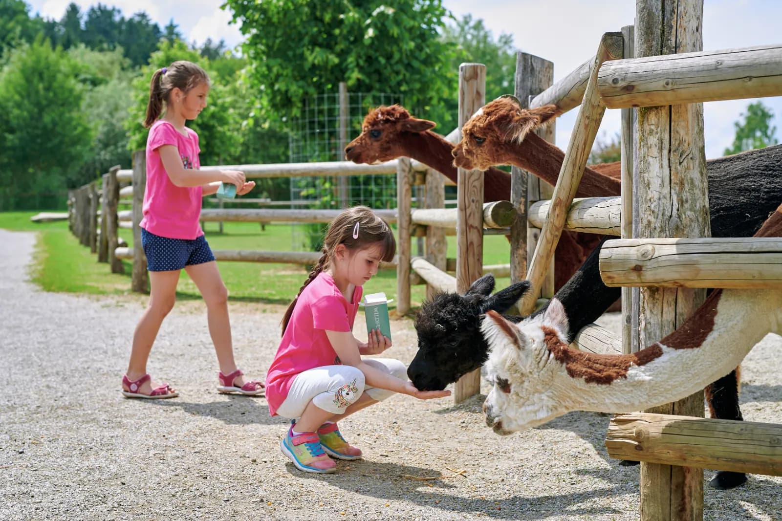 Wildfreizeitpark Oberreith 4