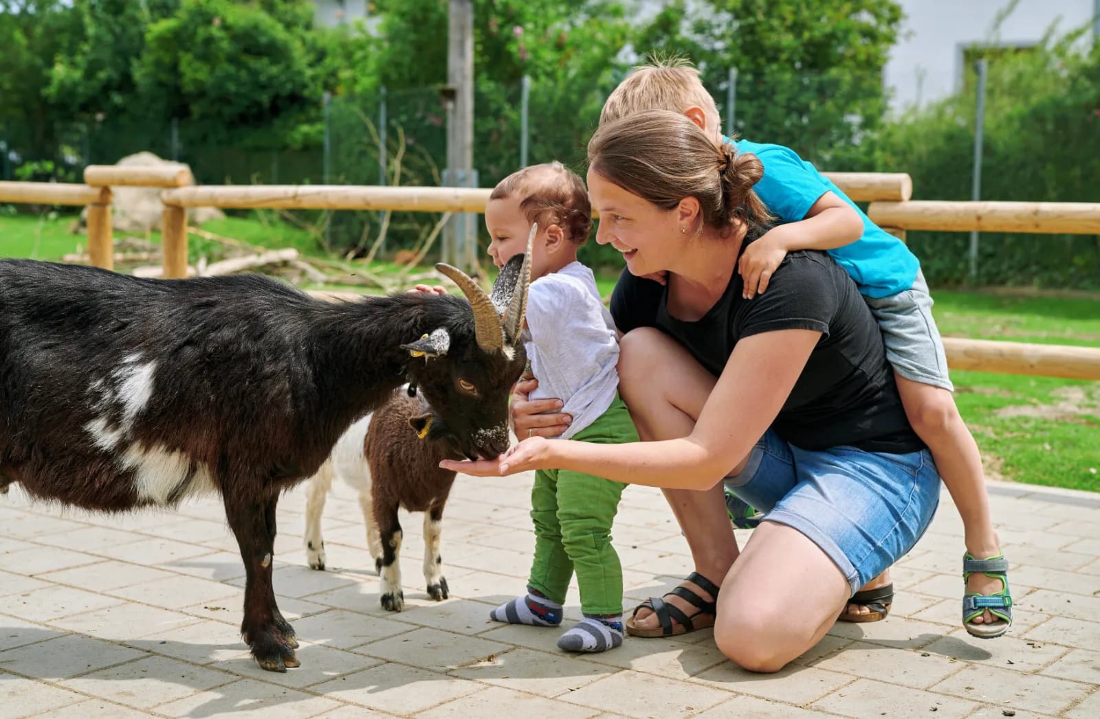 Wildfreizeitpark Oberreith 1
