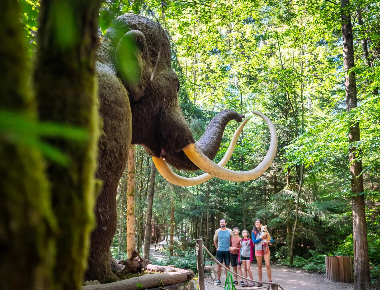 Dinosaurier Museum Altmühltal 3