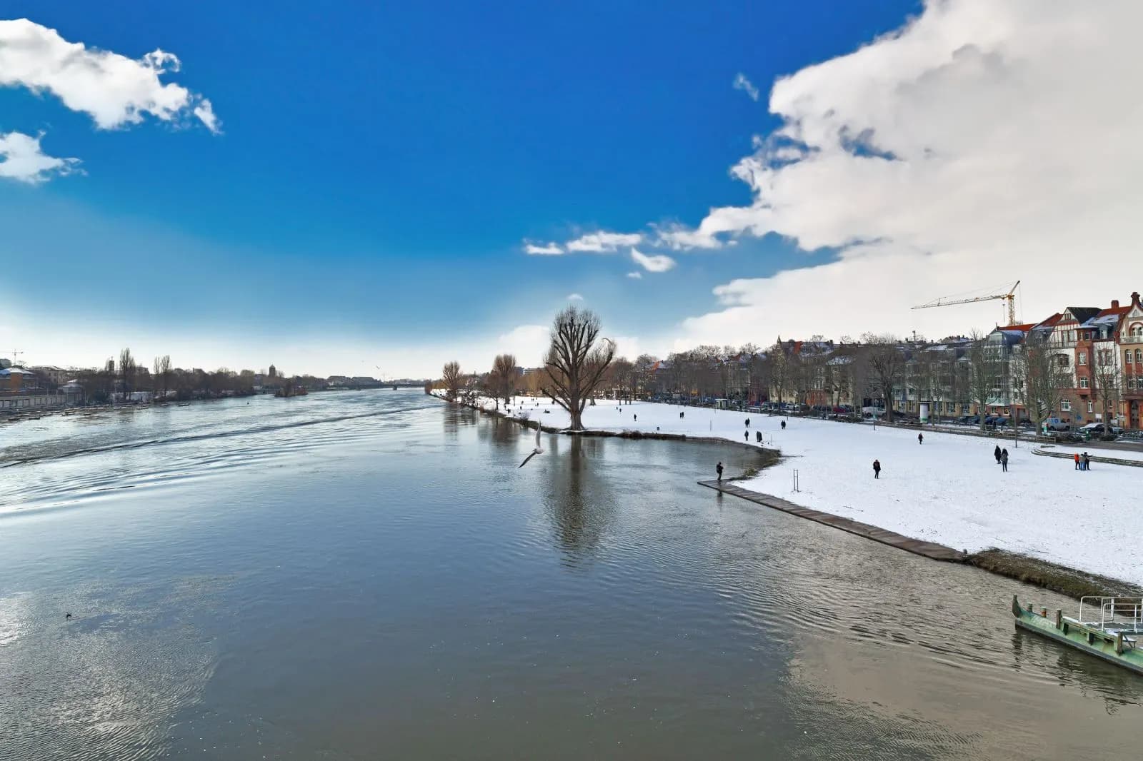 Neckarwiese Heidelberg 3