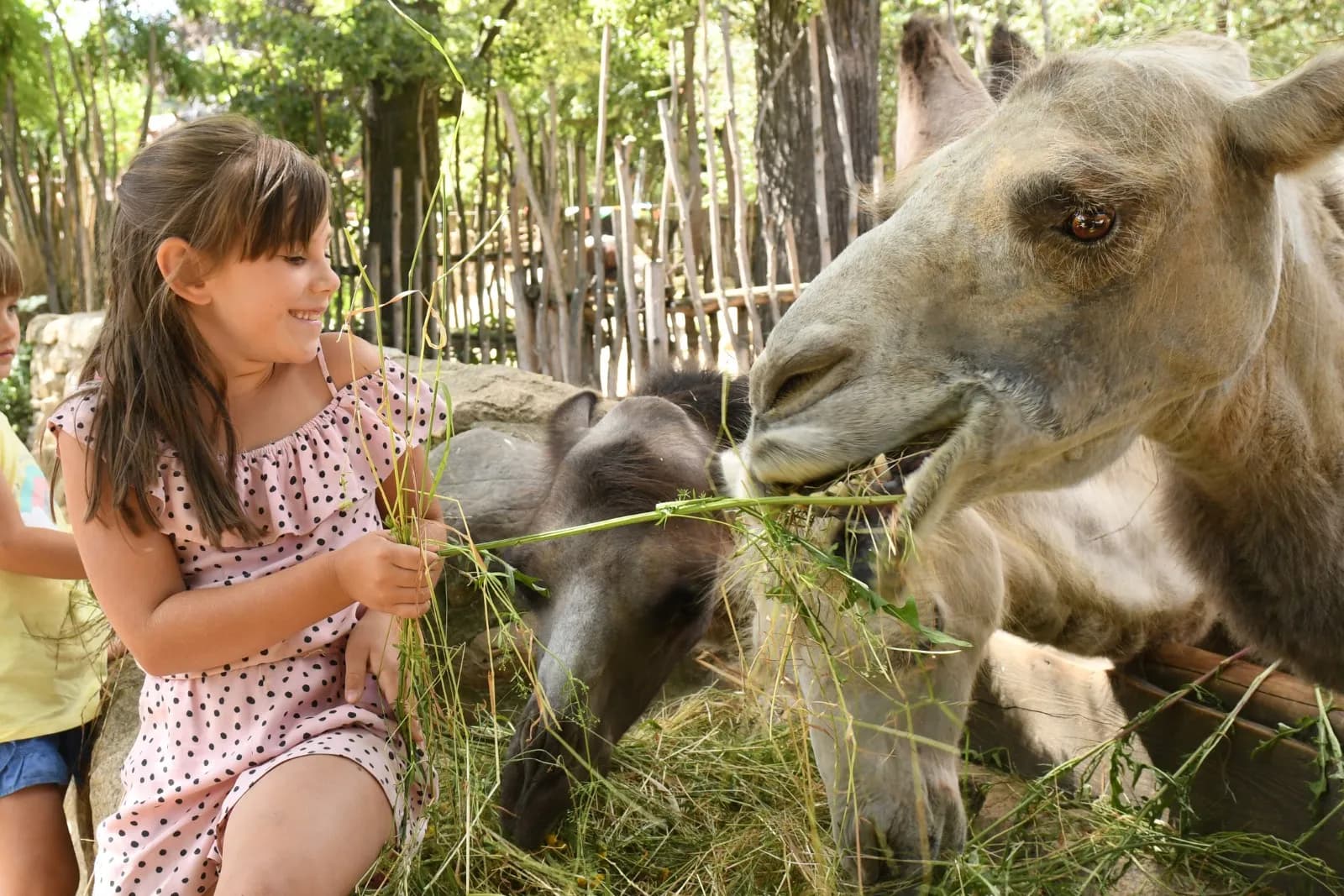 Tierpark Görlitz 1