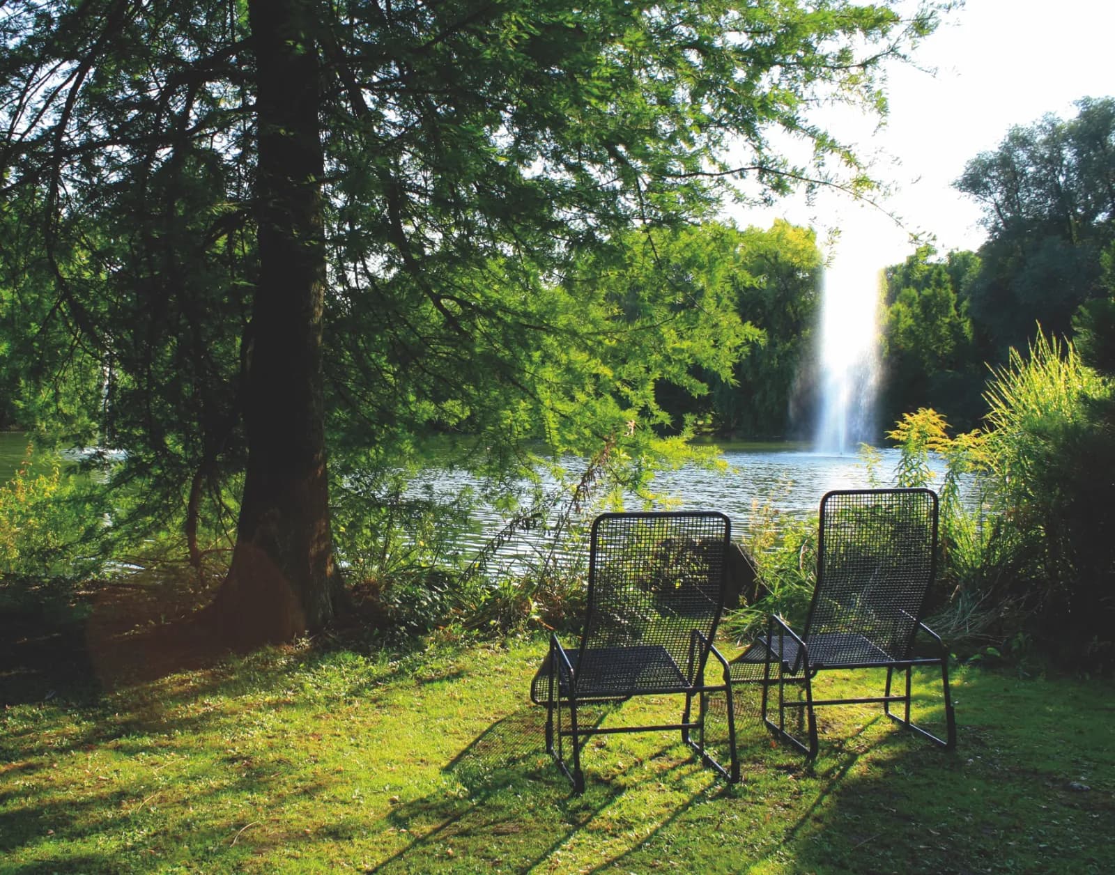 Herzogenriedpark Mannheim 4