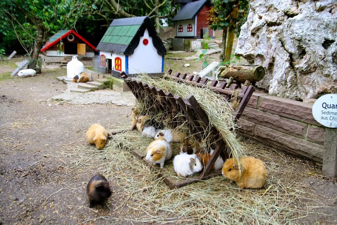 Familienpark Sottrum 2