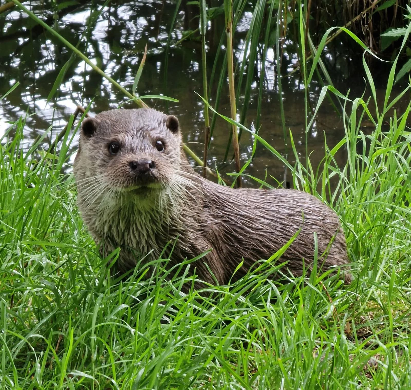 Wildpark Schorfheide 2