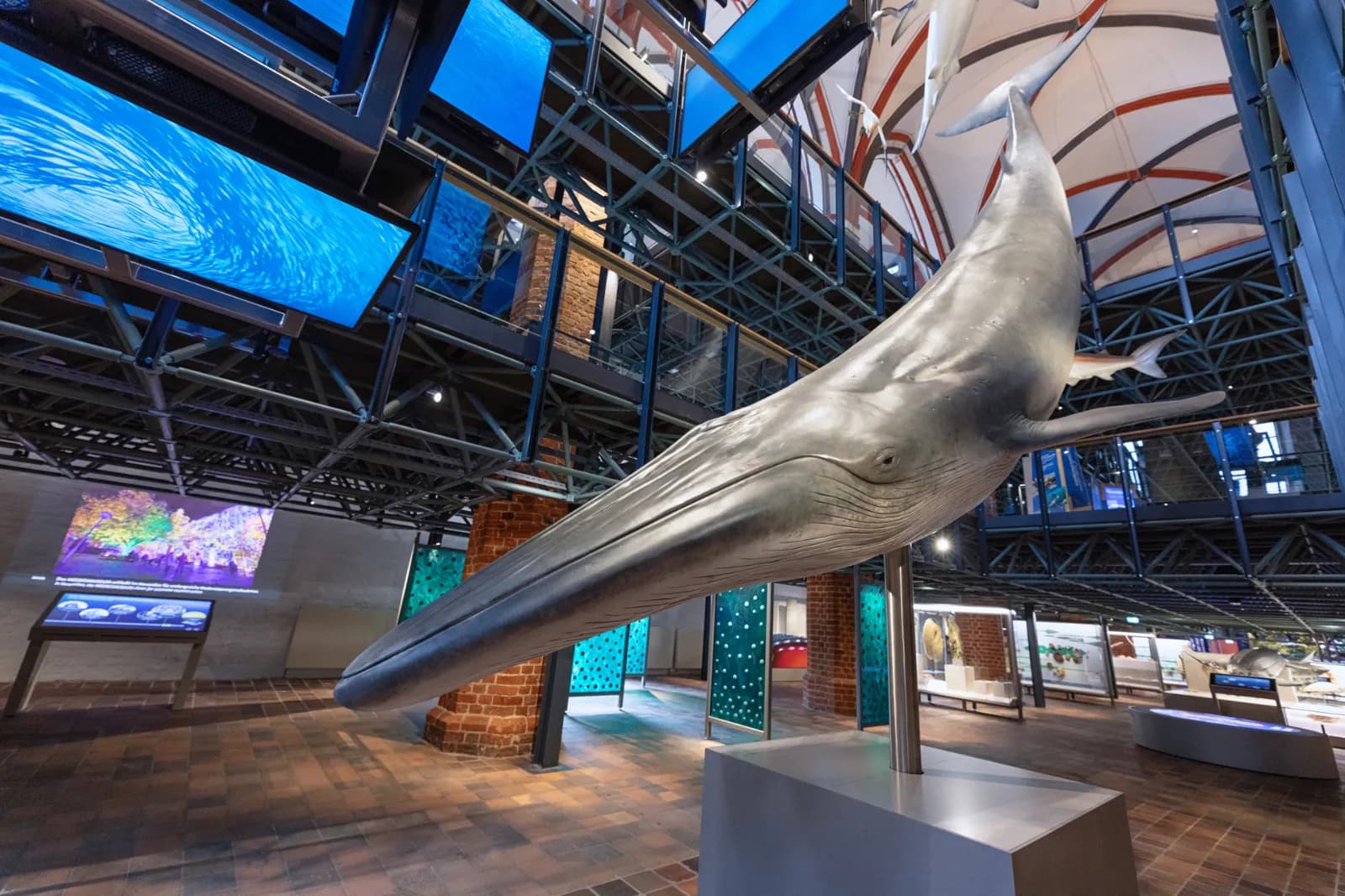 MEERESMUSEUM 3
