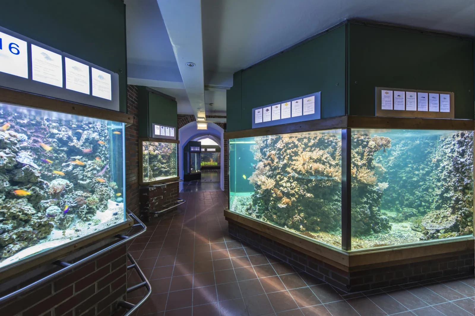 MEERESMUSEUM 2