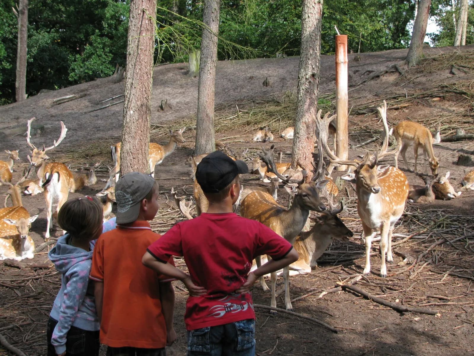 Wildpark-MV 4