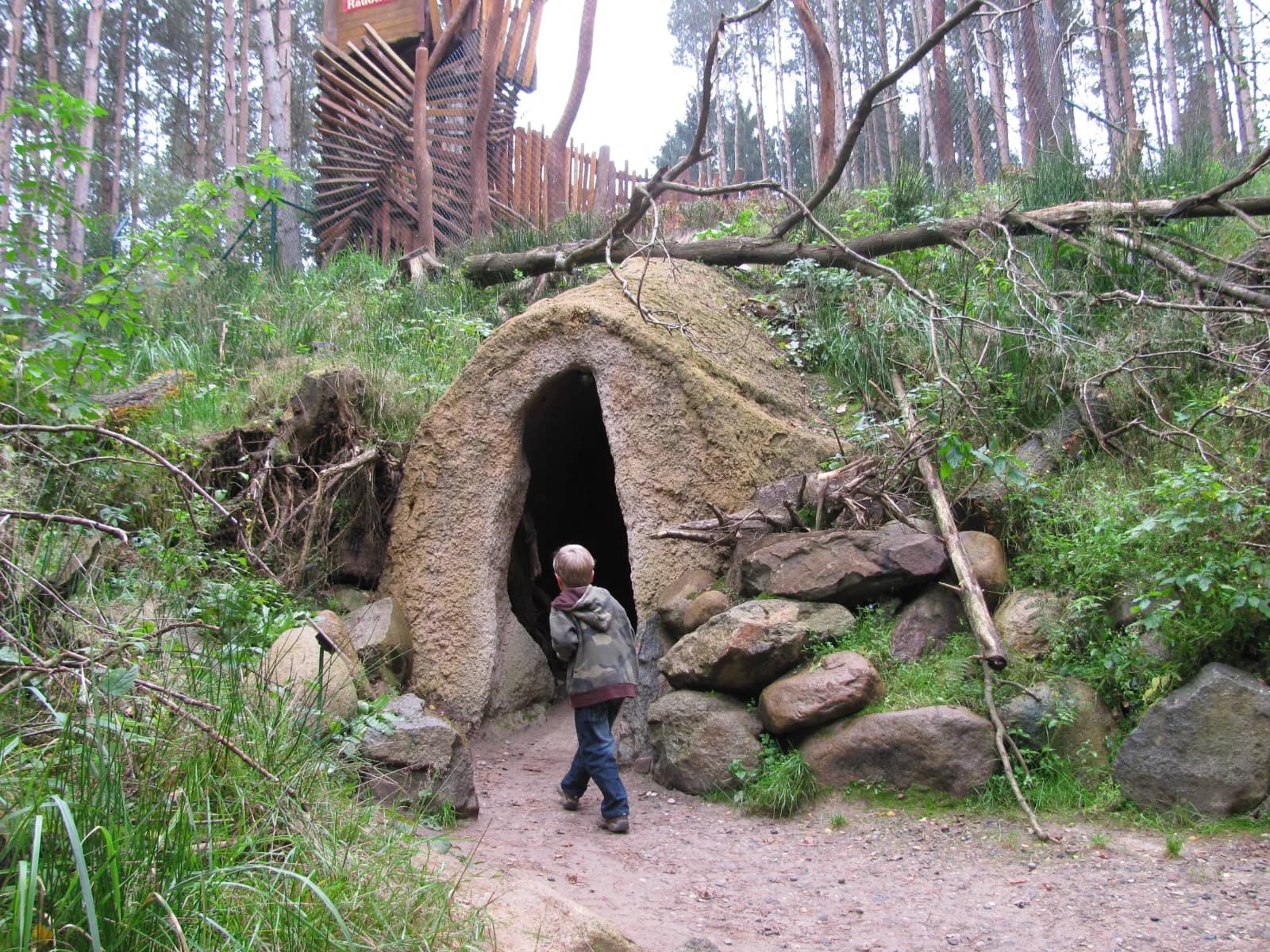 Wildpark-MV 6
