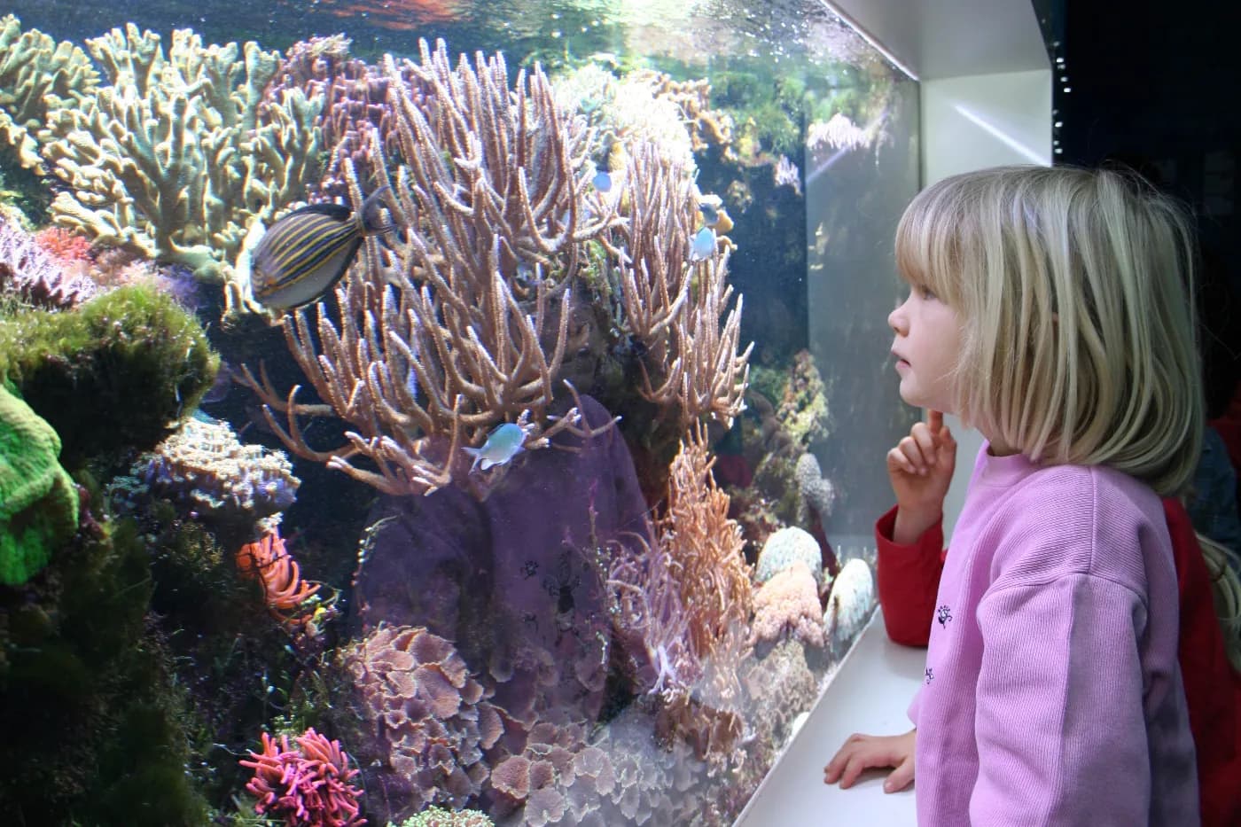 Meereszentrum Fehmarn 1