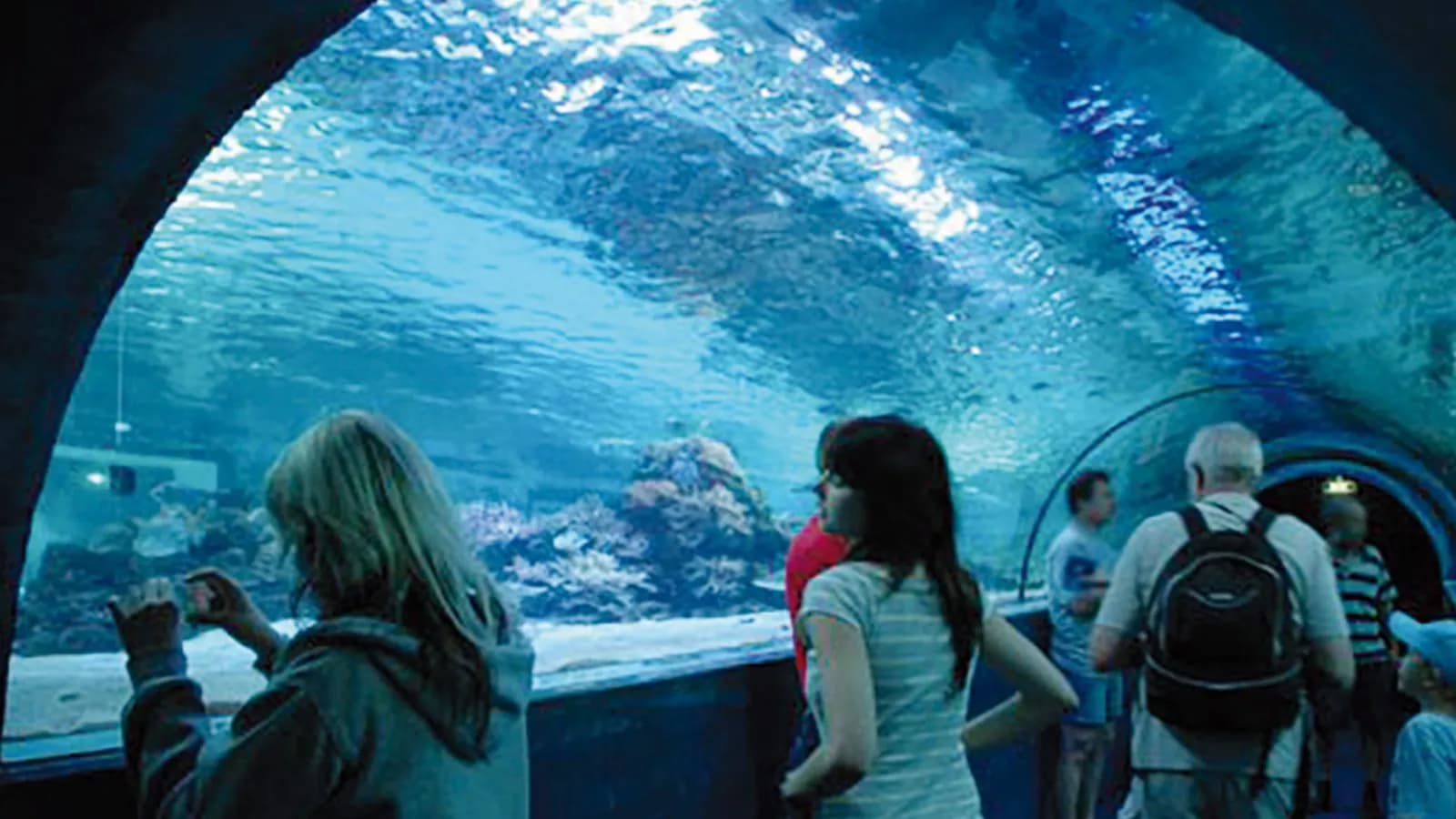 Meereszentrum Fehmarn 3