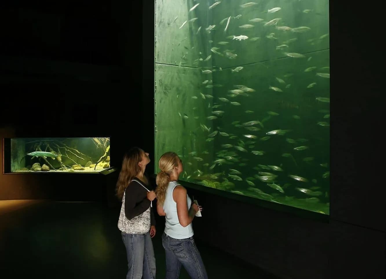 NaturErlebnisZentrum Müritzeum 4