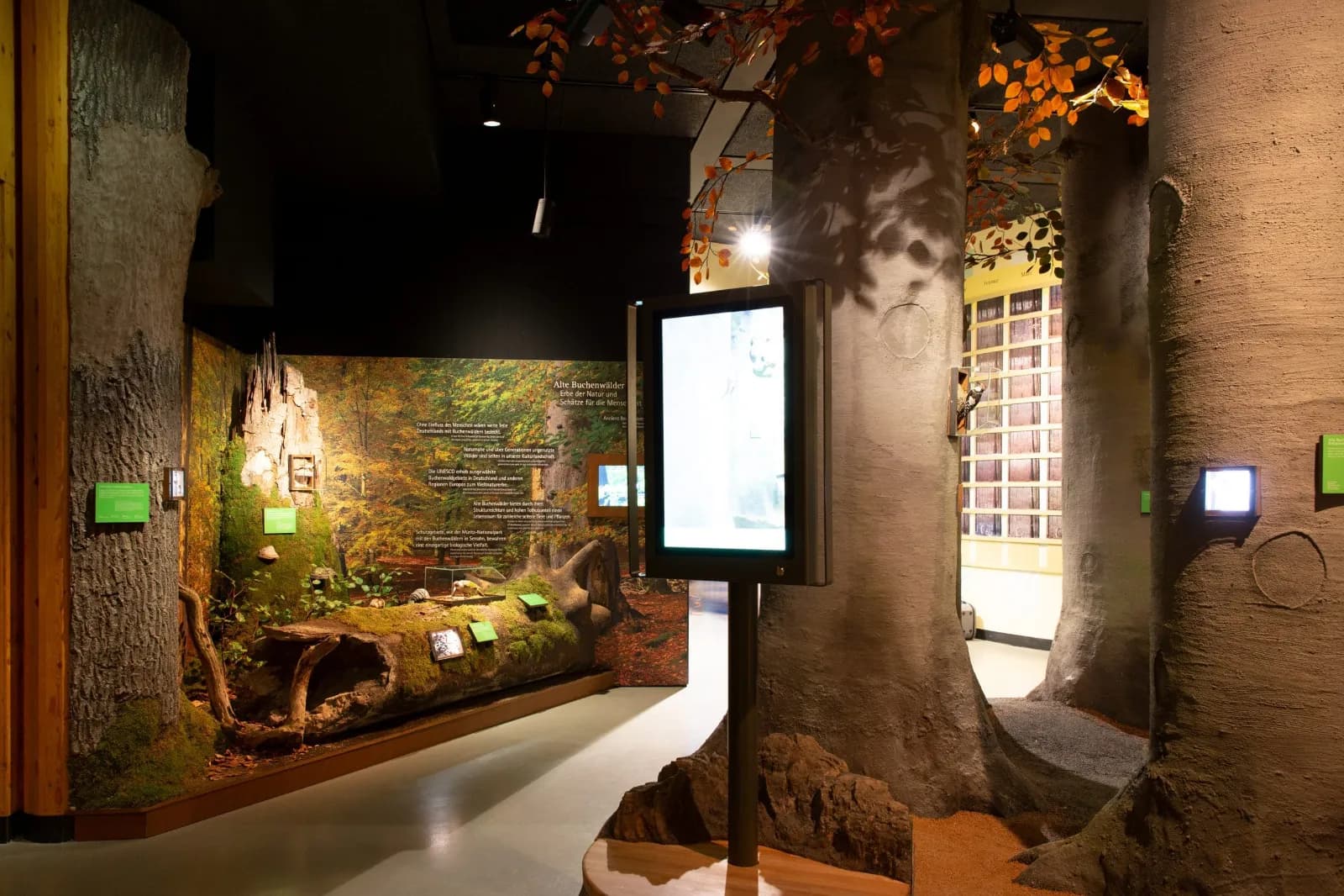 NaturErlebnisZentrum Müritzeum 5