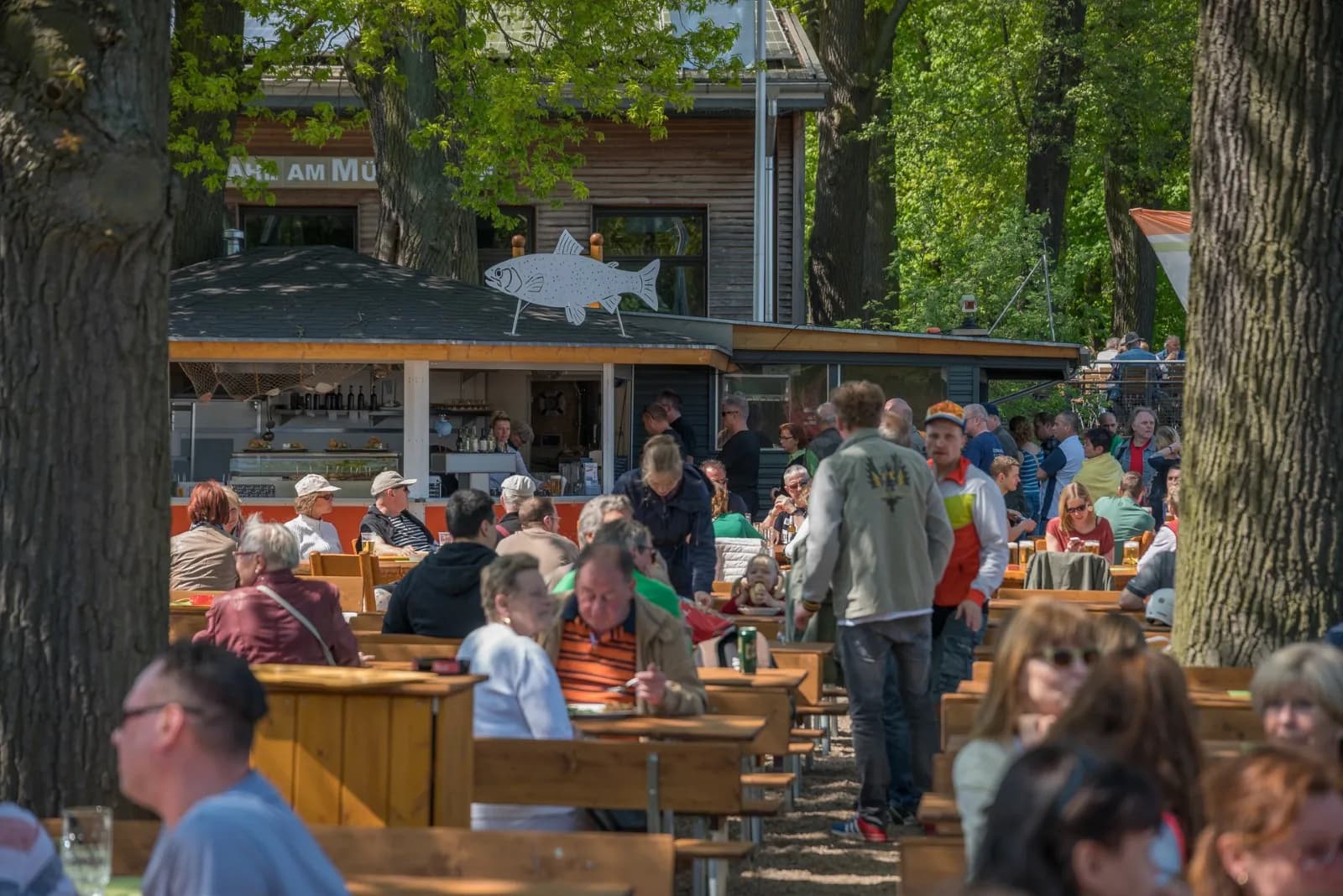 Rübezahl am Müggelsee 8