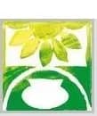 Freiland-Aquarium und -Terrarium Stein logo