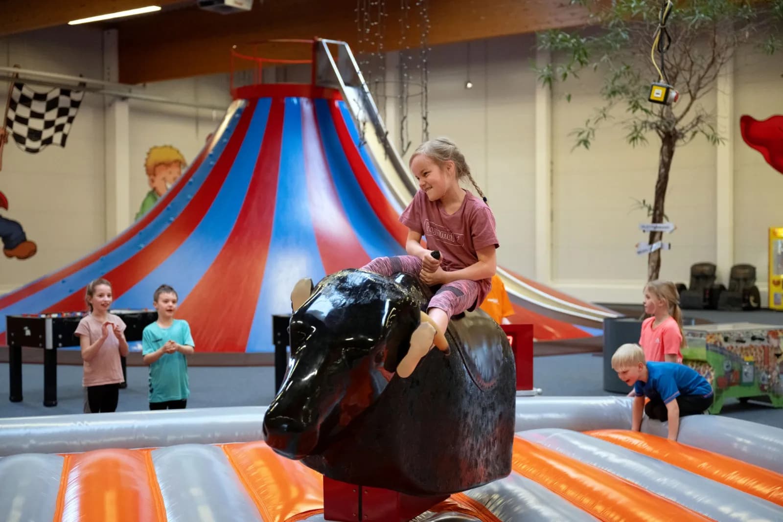 Mr. Scandis Funpark 1