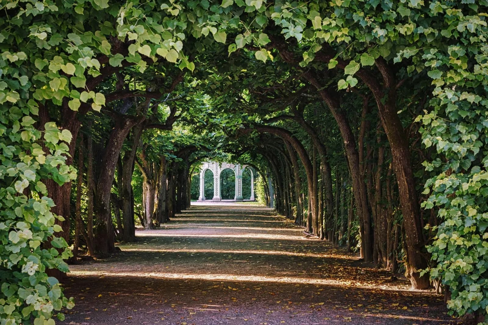 Eremitage Bayreuth 3