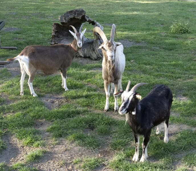 Erlebnispark Paaren 4