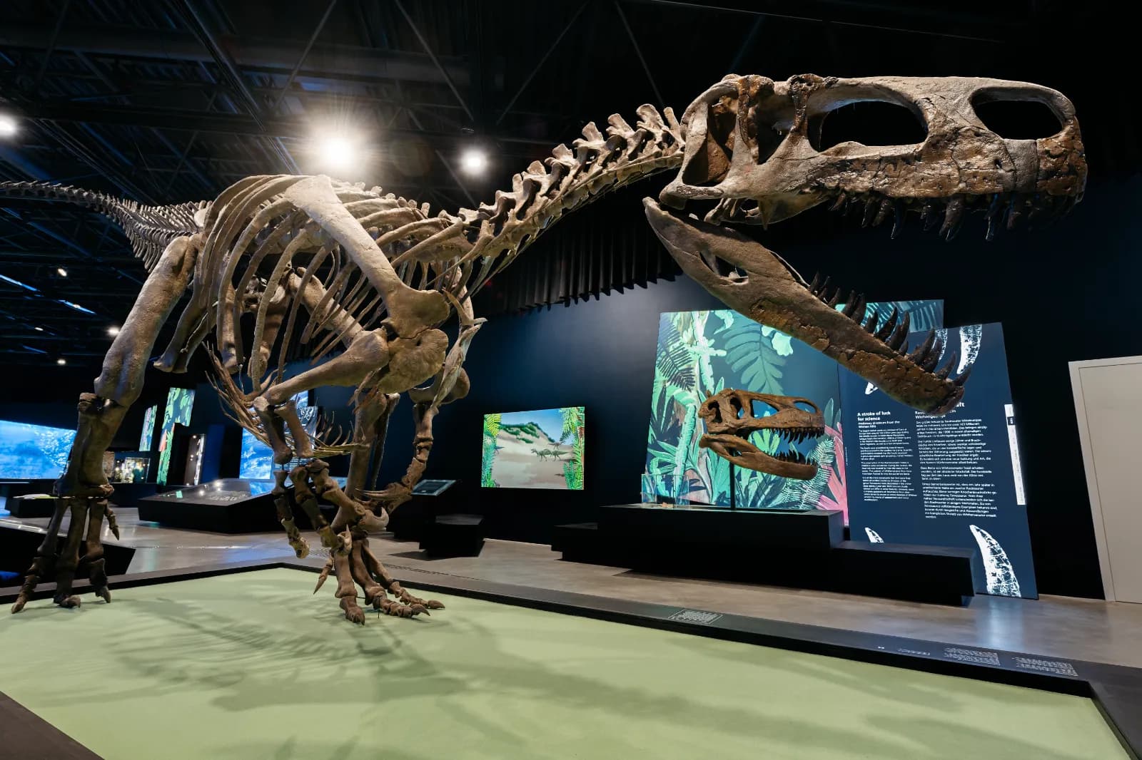 LWL-Museum für Naturkunde mit Planetarium 1