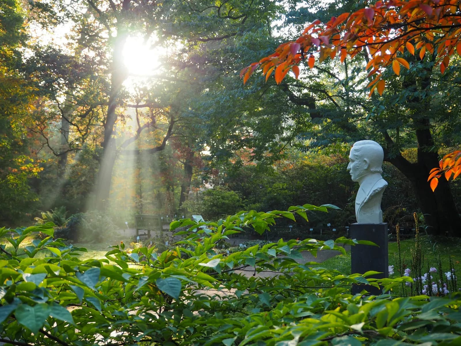 Botanische Gärten der Universität Bonn 4