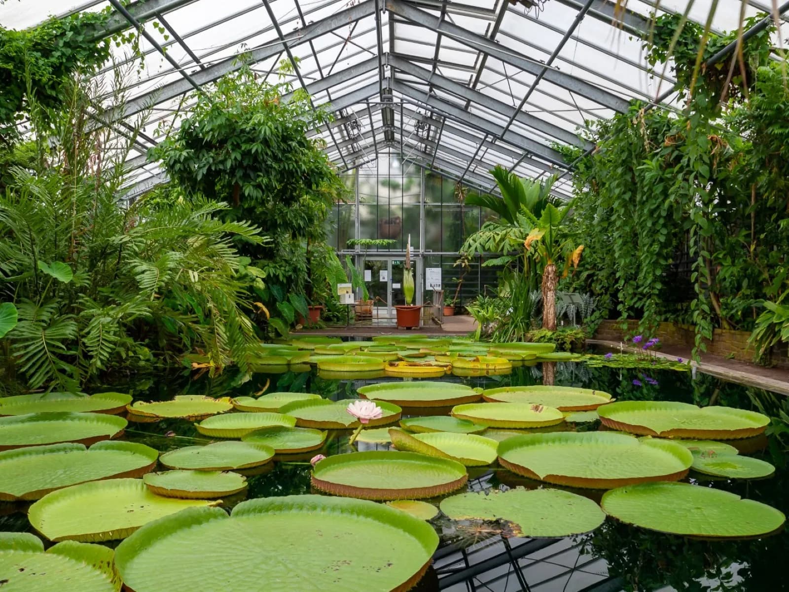 Botanische Gärten der Universität Bonn 2