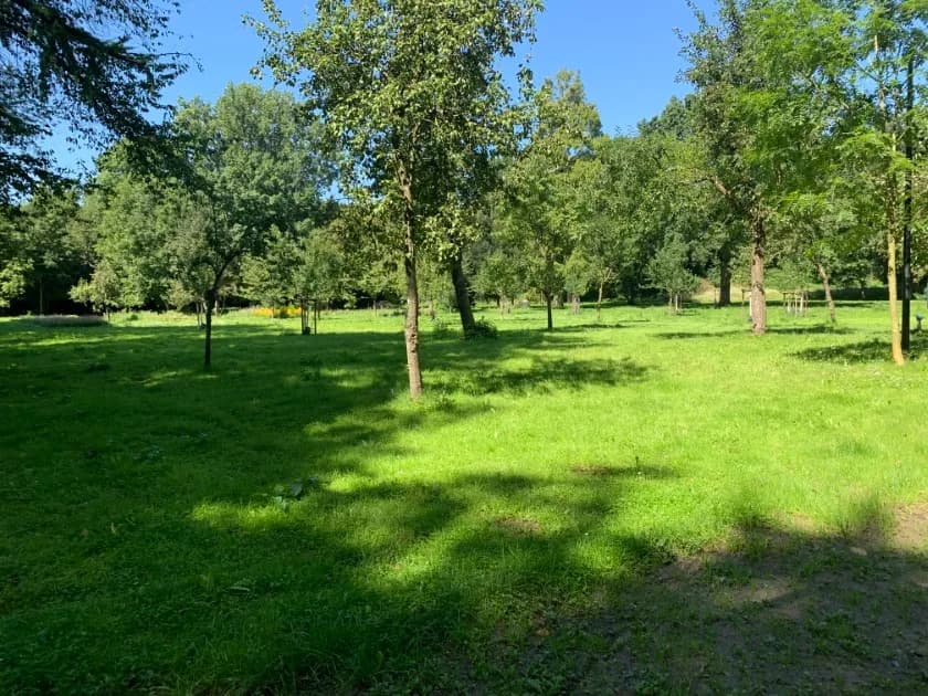 Revierpark Wischlingen 7