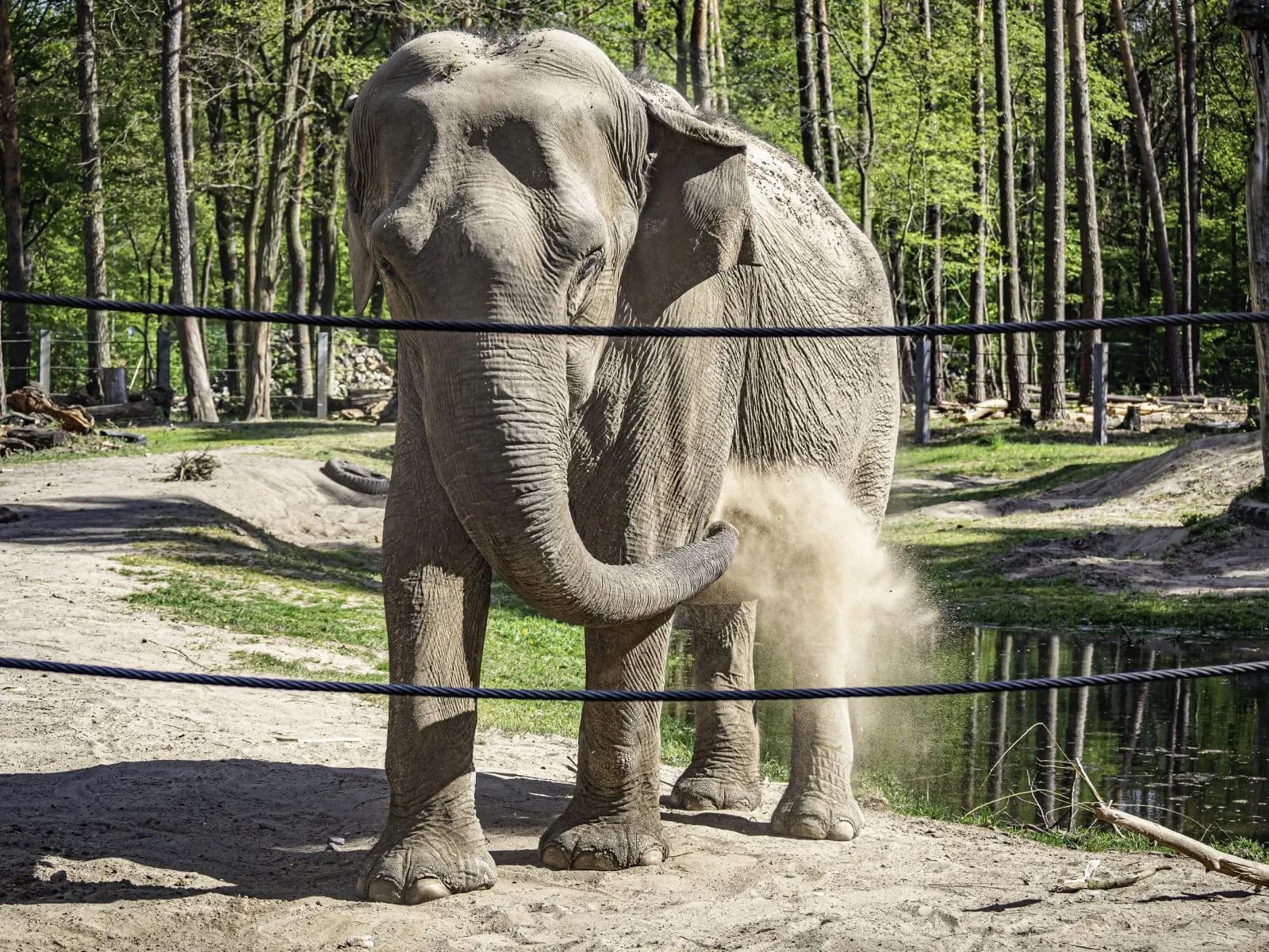 Tierpark Cottbus 3